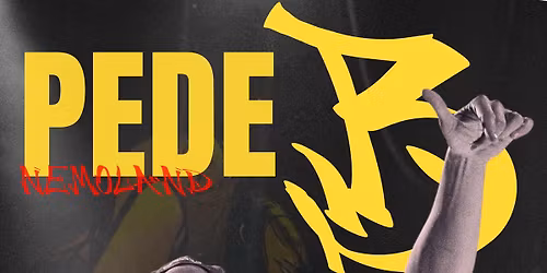 CARLO AHEAD X PEDE B 1. MAJ KONCERT