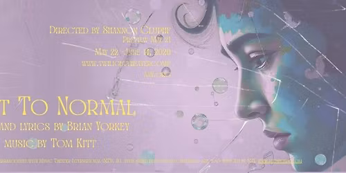 Next To Normal by Brian Yorkey and Tom Kitt