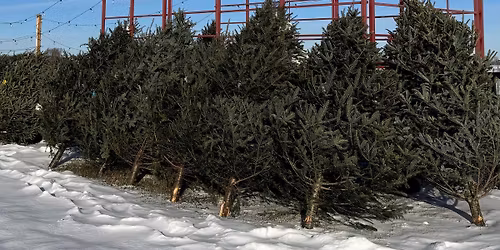 Farm-Store Open Hours 