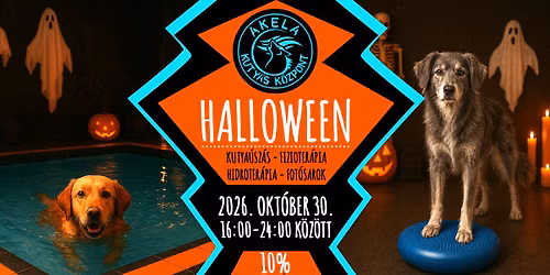 \ud83c\udf83 HALLOWEEN az Akela Kuty\u00e1s K\u00f6zpontban \ud83d\udc7b