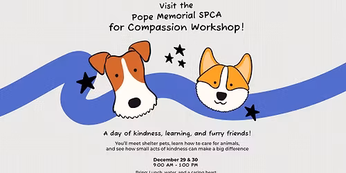 Compassion Workshop