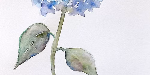 Watercolor Flowing Florals Workshop 