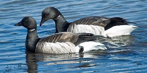 NJSFSC Sportsmen\u2019s Jamboree