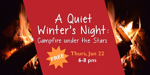A Quiet Winter\u2019s Night: Campfire under the Stars