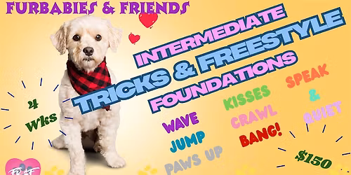 Intermediate Dog Tricks Training Group Class