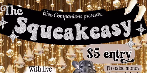 The Squeakeasy 