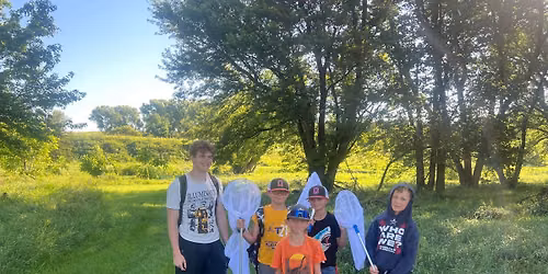 Beginning Entomology
