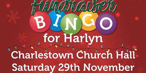Fundraising Bingo Night For Harlyn\u2019s Heroes. 