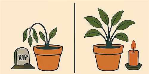 Day Of The Dead (Plant)