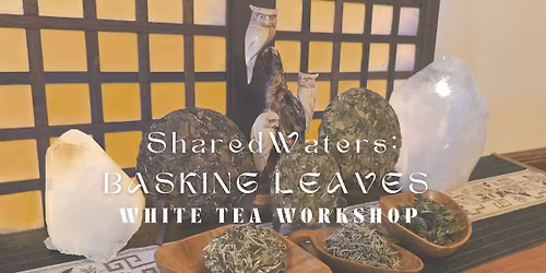Shared Waters~ Basking Leaves Tea Tasting + Workshop