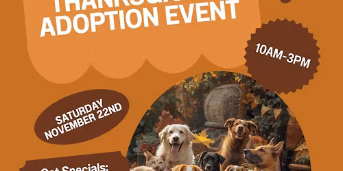PAWS Thanksgiving Adoption Event