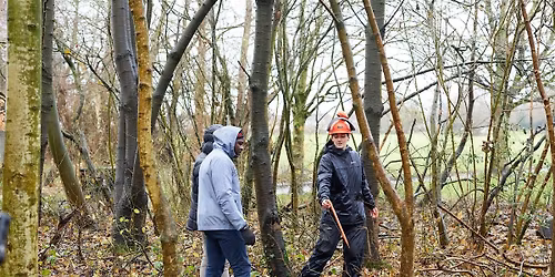 Citizen Forester Woodland Management, Clayton Vale, Manchester