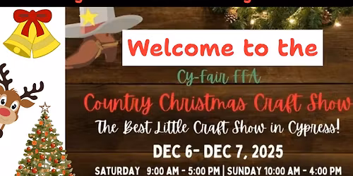 Texas Fairy Hair POP UP