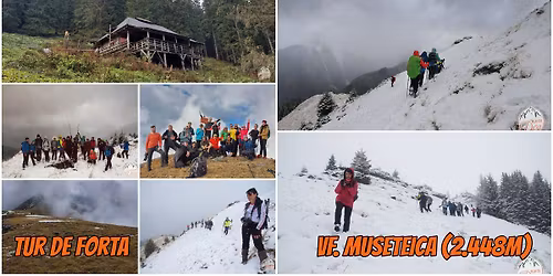 Tur de for\u021b\u0103 - Vf. Mu\u0219eteica (2.448m)