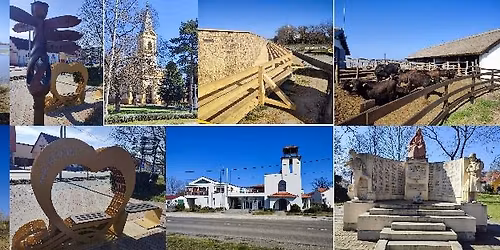 I. M\u00f3rahalmi Bivalyfutam