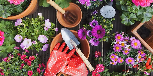 RVO Spring Fling Community Appreciation