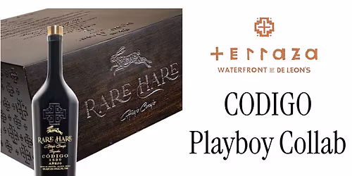 CODIGA Playboy Collab at Terraza