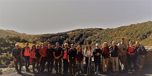 Singlewanderung auf dem Traumpfad \u201eMonrealer Ritterschlag\u201c