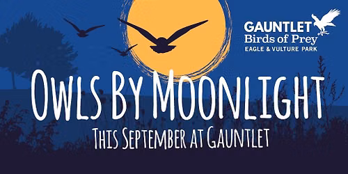 *BOOK NOW* Owls By Moonlight Evening, Sun 13th Sept, 2026