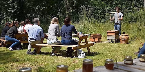 Beekeeping Experience Days 2026