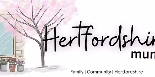 a FREE Accounting & Finance Surgery