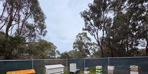 Training Apiary Inspection