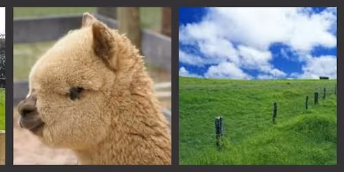 Conference\/ training event