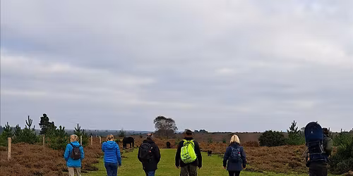 Walking Festival 2025: A Ranger's New Forest - South