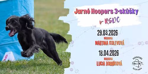 Jarn\u00e9 Hoopers 3- sk\u00fa\u0161ky