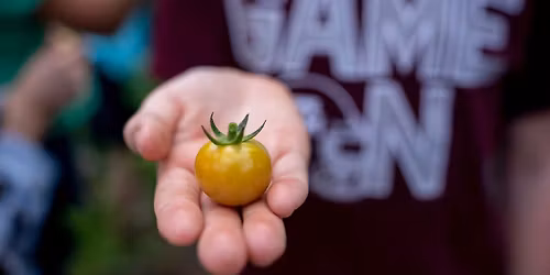 Learn, Grow, Eat, & Go! Camp