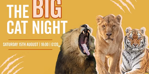 The Big Cat Night is Back!