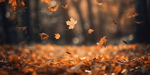 Creative Flow Workshop: Winter Transitions