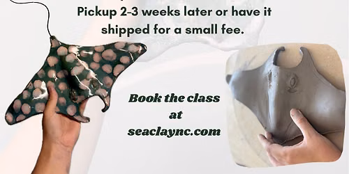 Sting Ray Workshop at The Third Space