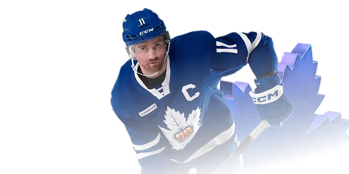 Parking Toronto Marlies at Manitoba Moose