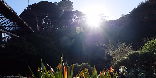 Fire and the response by plants - Guided Walk