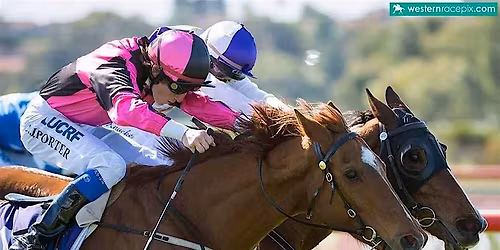 2026 $1,000,000 MAGIC MILLIONS WA LADIES DAY