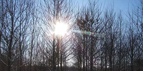 Winter Nature Session Afternoon