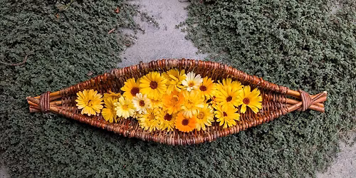 Willow Harvest Basket