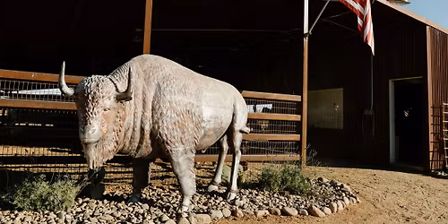 Horsepower-Veterans and First Responders