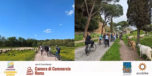 E-Bike Tour - Trust-Turismo rurale e urbano sostenibile