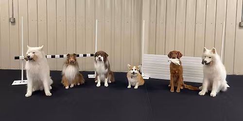 ICDOC Obedience Trial