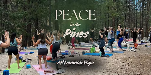 Peace in the Pines | Mount Lemmon Yoga