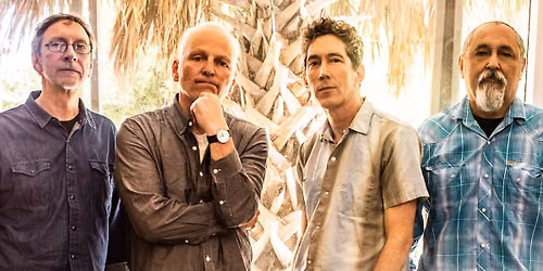 The Iguanas