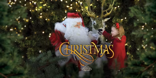 Magical Christmas Experience