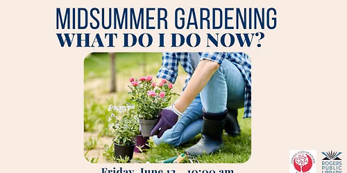 Midsummer Gardening: What Do I Do Now?