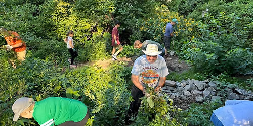 Rain Garden Maintenance Project