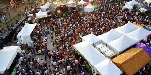 Taste of the Caribbean Festival - Soccer Fiesta 2026