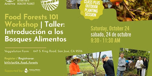 Food Forests 101 | Introducci\u00f3n a los Bosques Alimentos