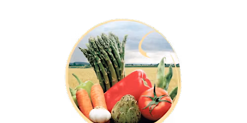 Mrs. Aline's Community Garden Volunteer Days- SATX