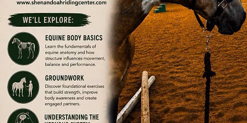 Understanding Your Horse from the Inside Out
